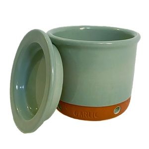 Jamie Oliver terracotta garlic house